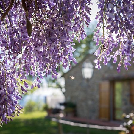 Le Cetinelle Pensionat Greve in Chianti Eksteriør billede