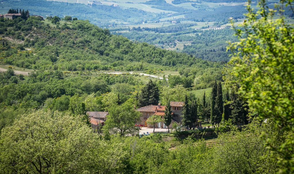 Le Cetinelle Pensionat Greve in Chianti Eksteriør billede